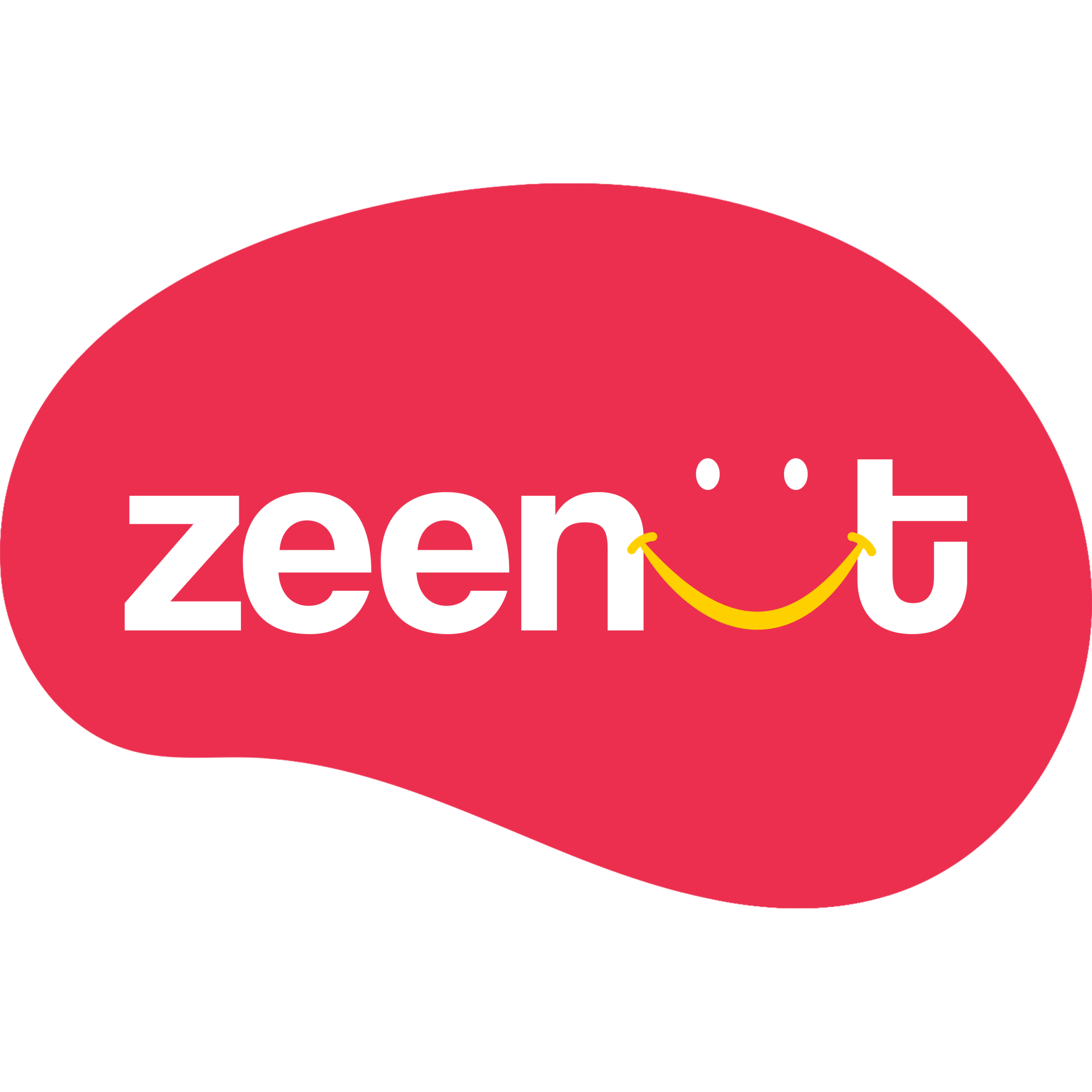 zeenutstore.com
